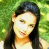 katie07.jpg